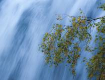Seppl Zorz - Wasserfall